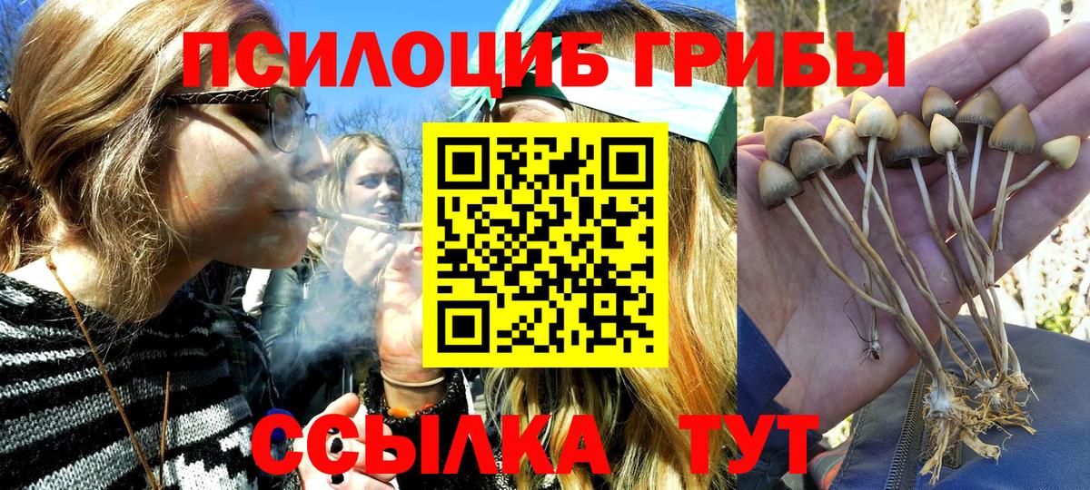 Псилоцибиновые грибы MAGIC MUSHROOMS  Вход с VPN  Тула 