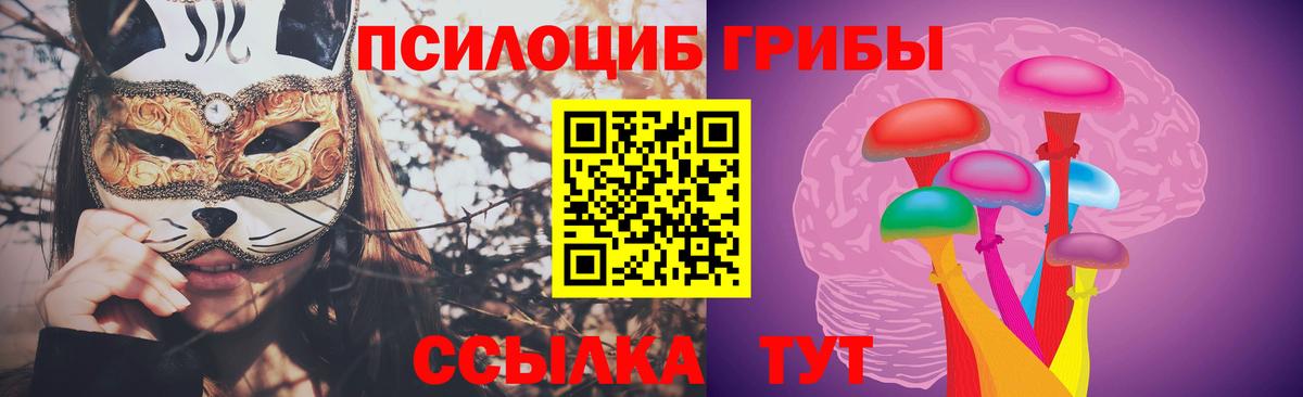 Галлюциногенные грибы ЛСД Тула